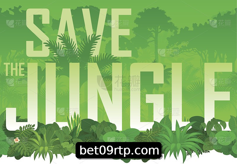 Integração de APIs bet09